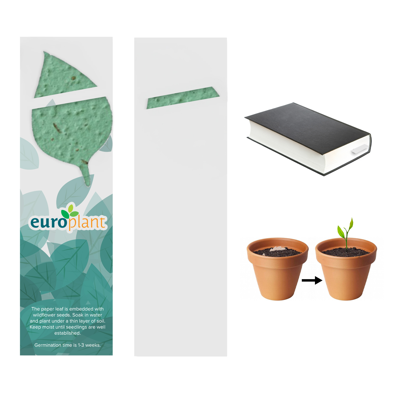 Plantable Bookmark 1