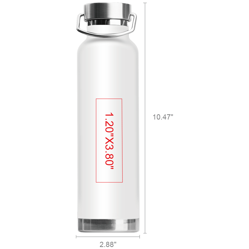 Owens 22oz Stainless Steel Water Bottle