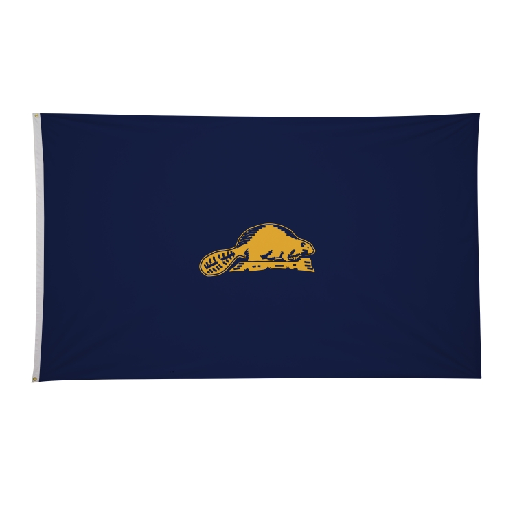 6' x 10' State Flags 16