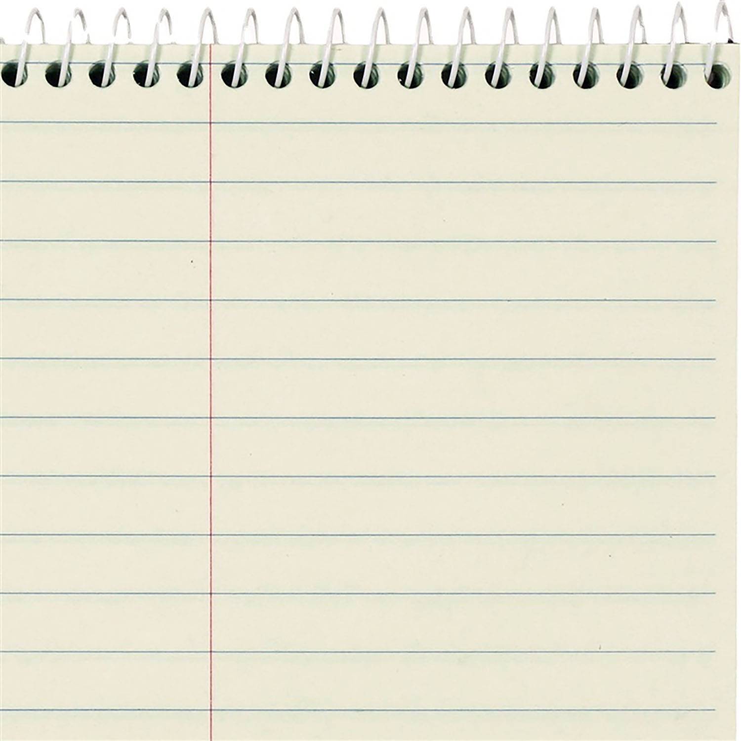 Spiral-Bound Steno Notebook 12