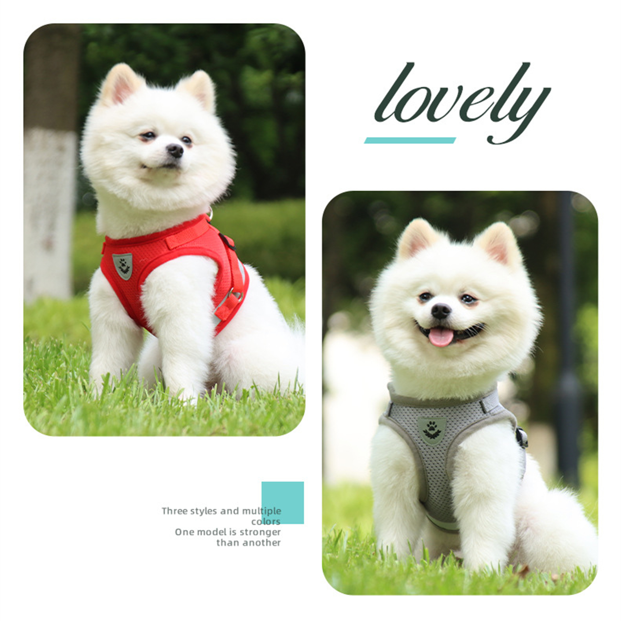 Harness And Leash Set For Small Dog 2