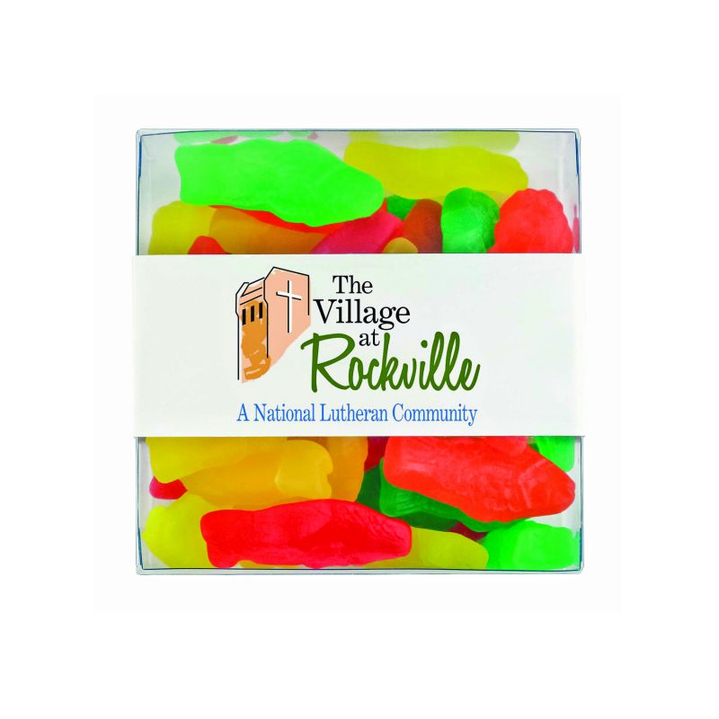 Square Acetates - Assorted Fish 1