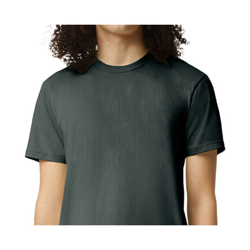 American Apparel Unisex CVC T-Shirt 12