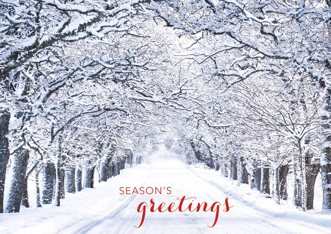 Crystal Lane Holiday Cards 2