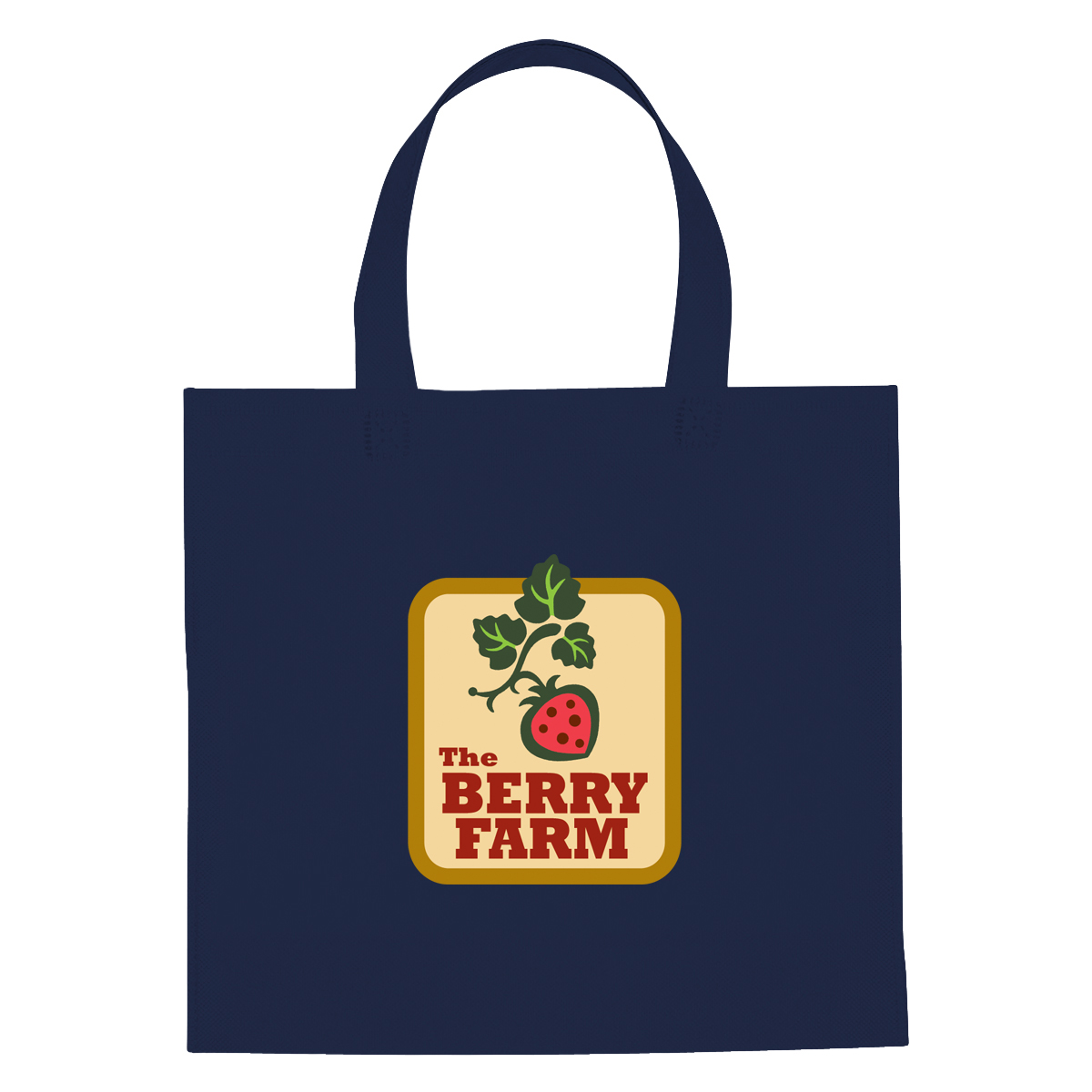 Non-Woven Mini Brochure Tote Bag 13