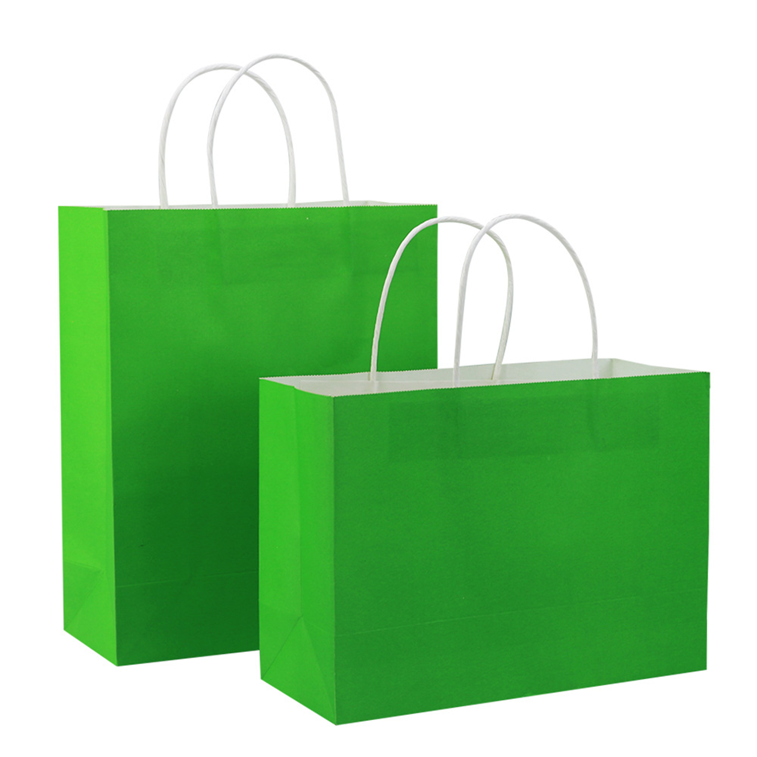 Paper Shopping Bag 1