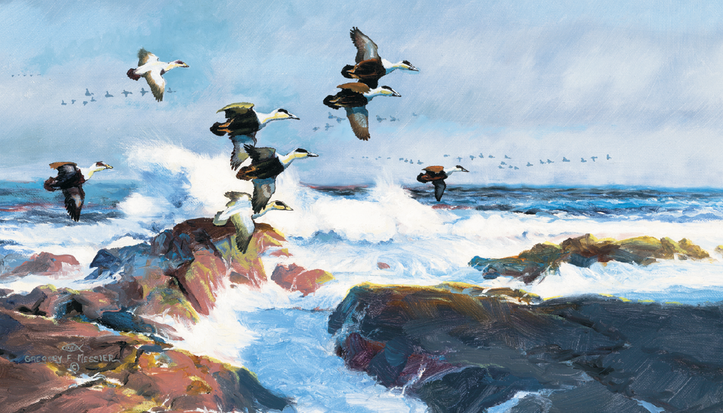 Triumph® Calendars North American Waterfowl Calendar 2