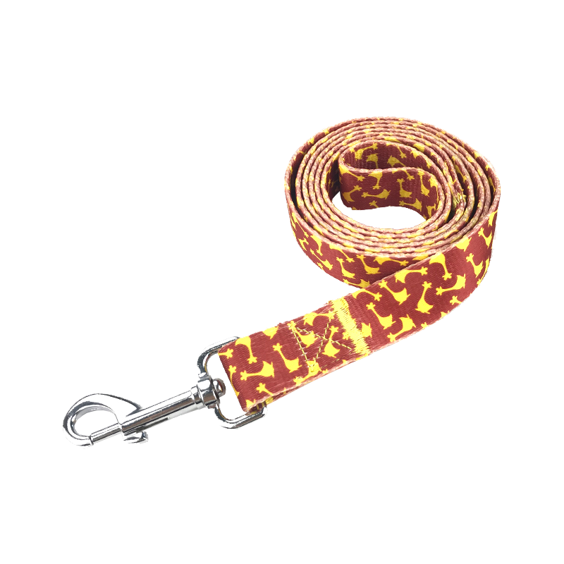 Adjustable Polyester Pet Leash with Metal Hook - Small 1