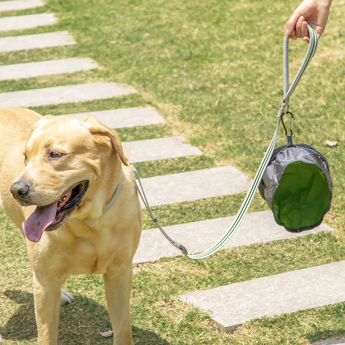 Portable Outdoor Collapsible Dog Bowls 2
