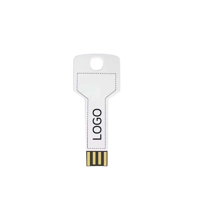 Metal Key-Shaped USB Flash Drive (512MB) 4