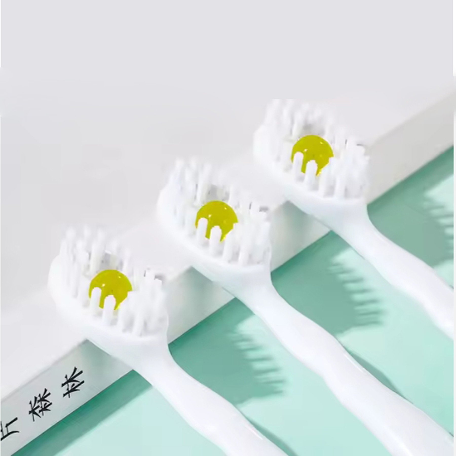 Disposable Toothbrush with Toothpaste 3
