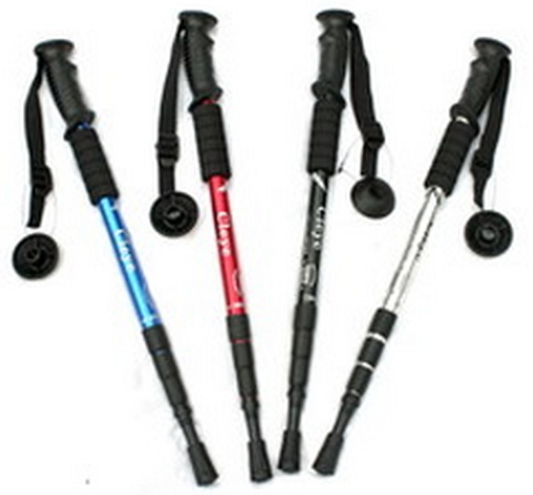 Walking Stick 2