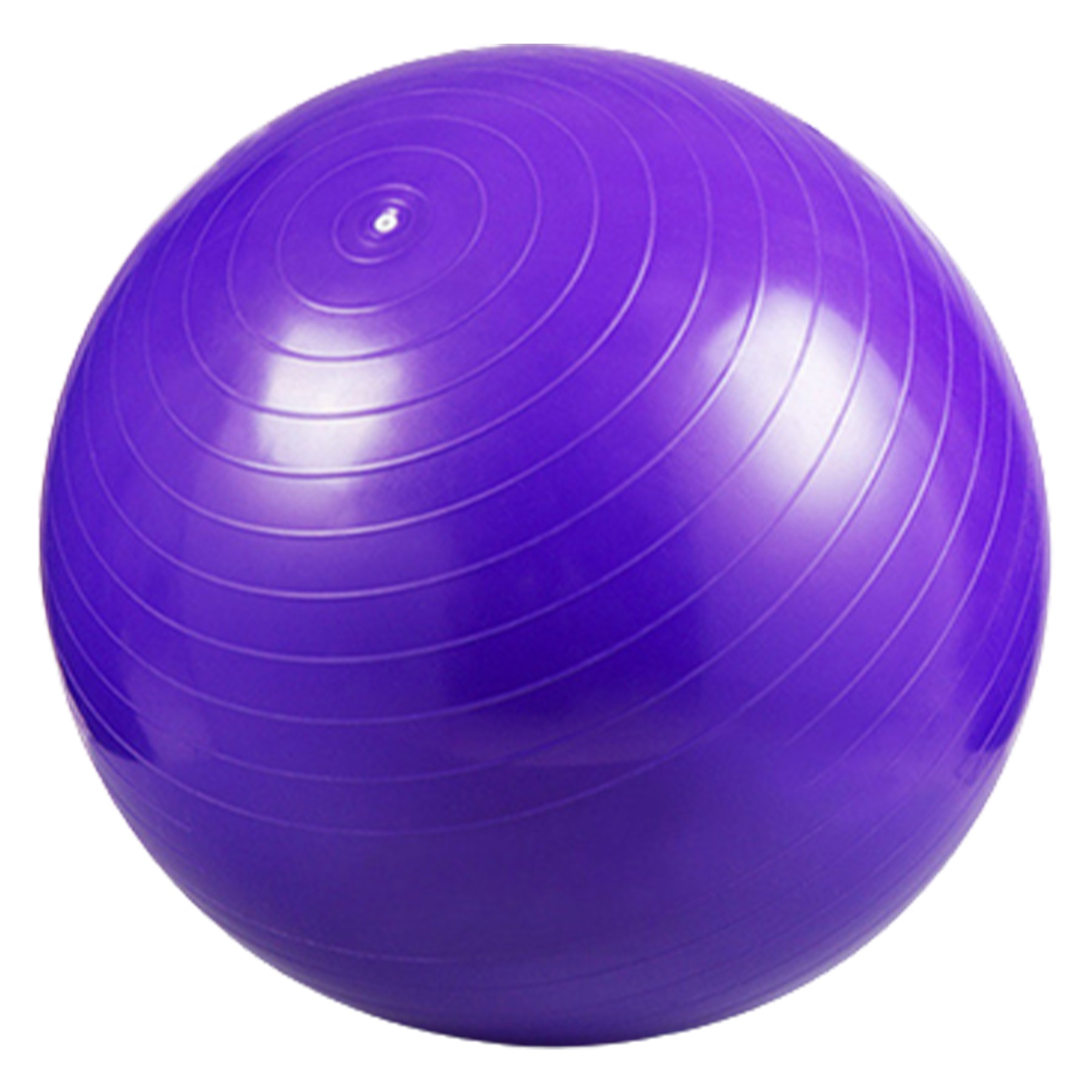 25.6 Inch Diameter Pvc Exercise Ball 7