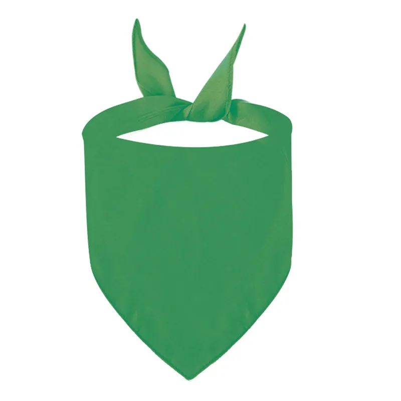 Triangle Pet Bandana 4