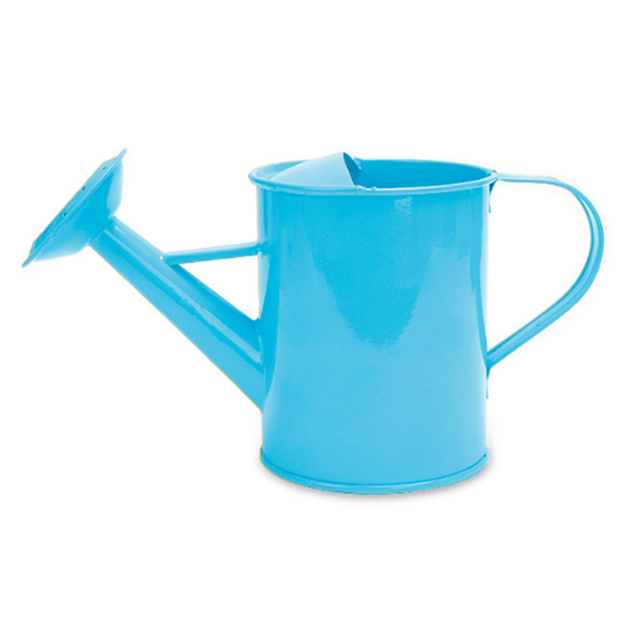 MOQ 50 PCS Sturdy 20oz Gardening Iron Watering Can 4