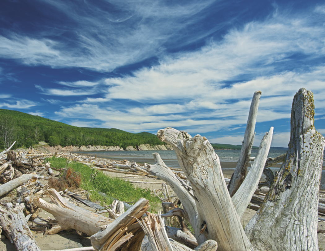 Good Value™ Canadian National Parks - Spiral Calendar 12