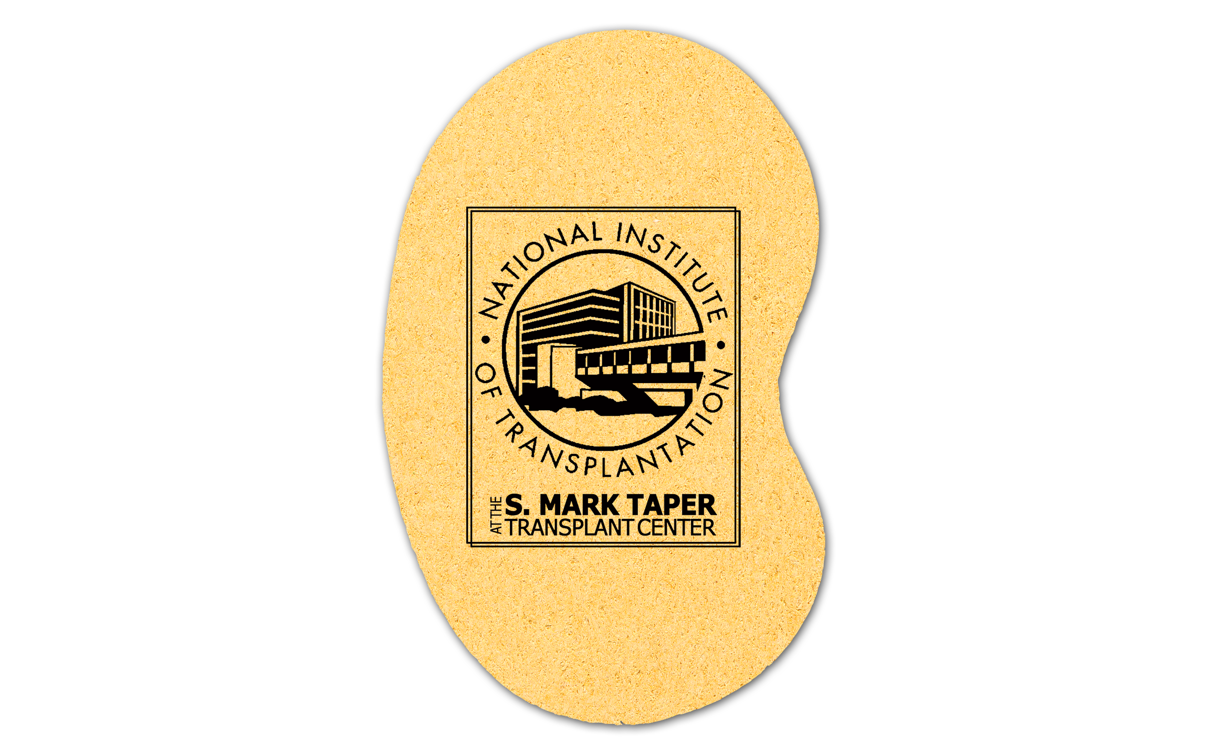 Kidney Compressed Sponge 11