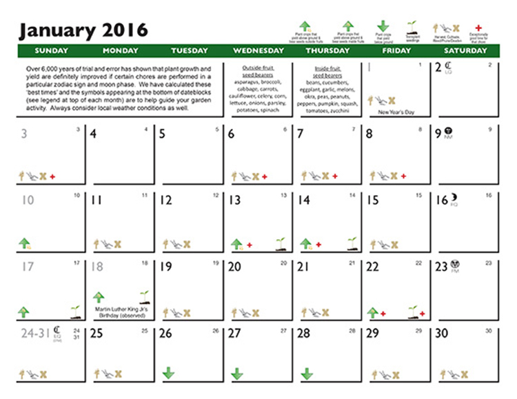 Gardening 12 Sheet Wall Calendar 2