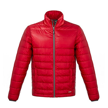 Artic 6