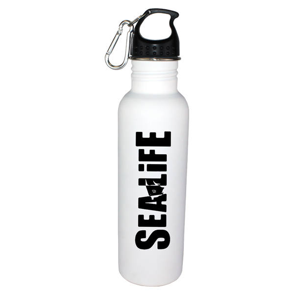 Halcyon® 25 oz. Stainless Quest Bottle 17