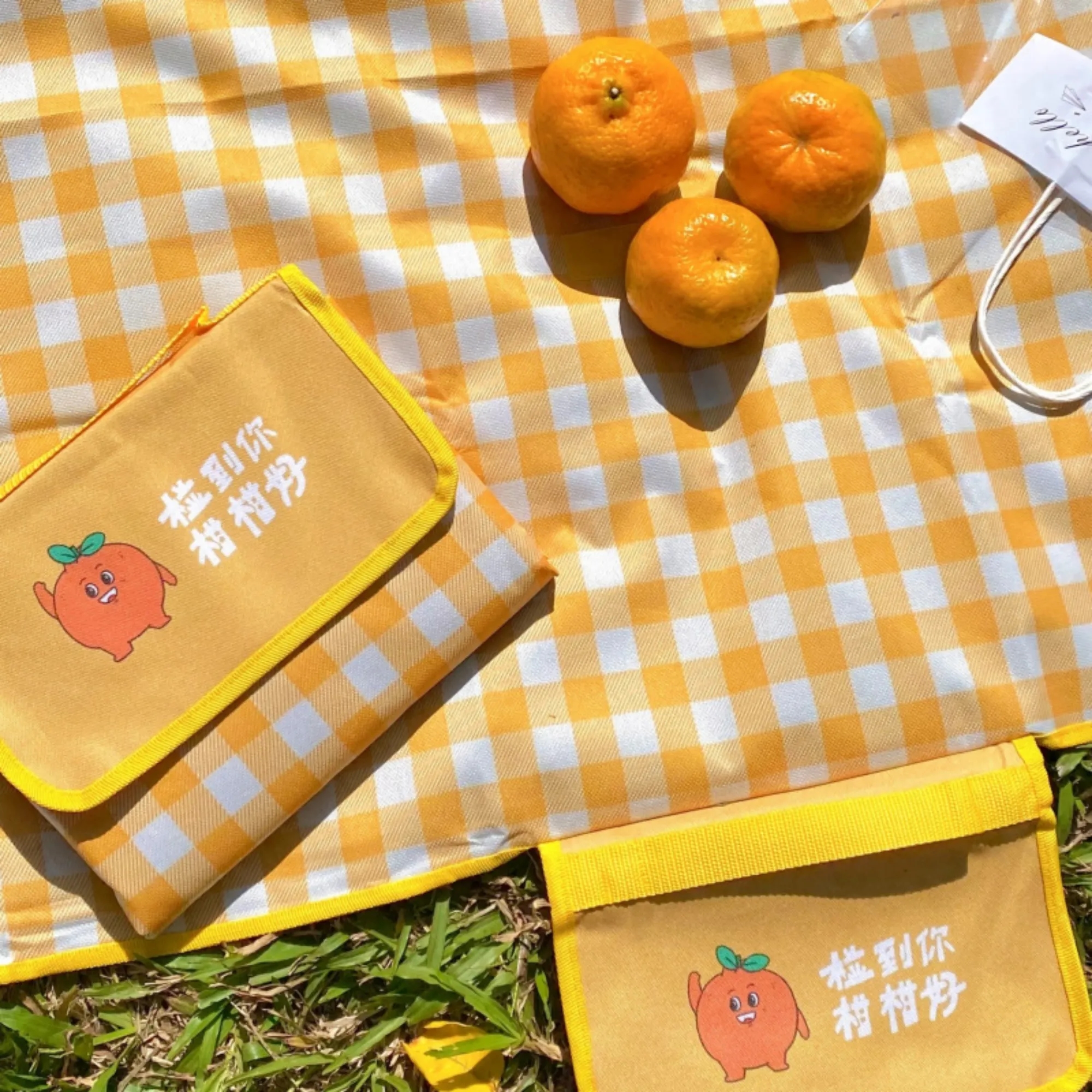 Premium Waterproof Oxford PVC Picnic Blanket 6