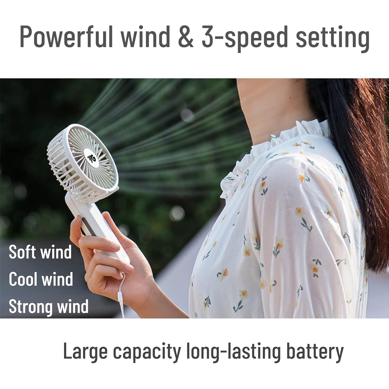 Two-Way Folding Hand Fan 17