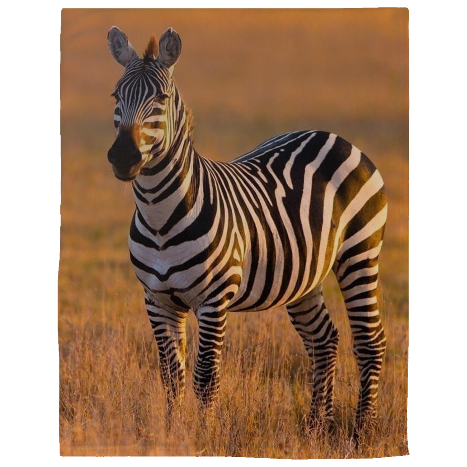 60" x 80" Brushed Polar Fleece Sublimation Blanket 300 GSM 7