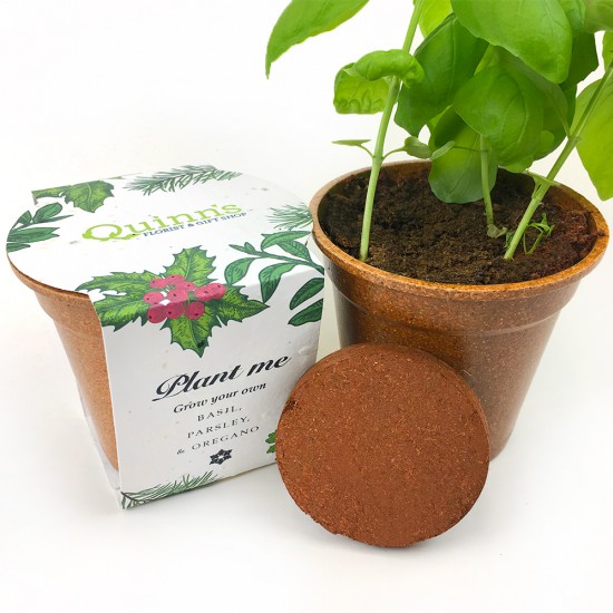 Season's Greenings Herb Seed Paper Sprouter Kits 3