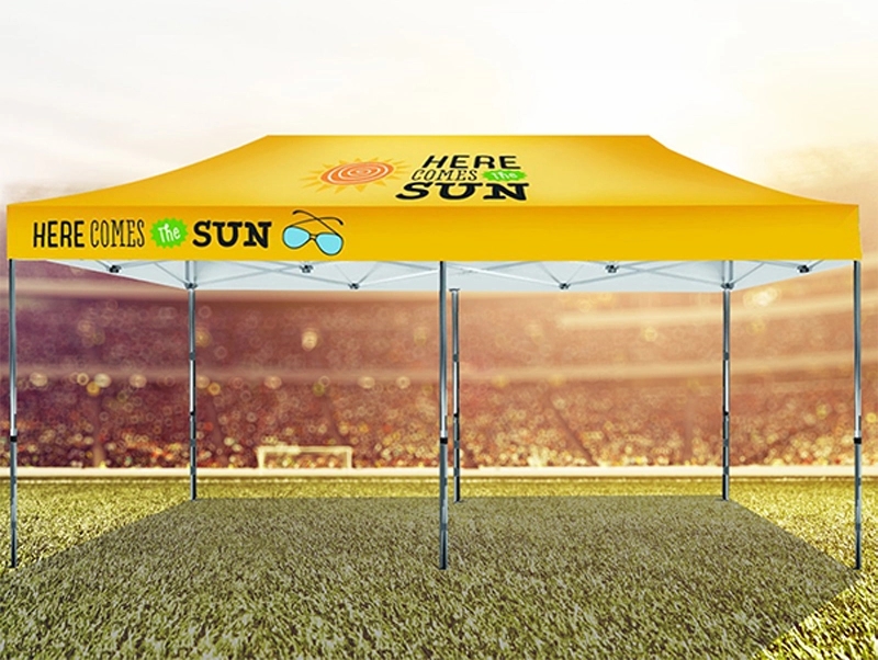 10' X 20' Tent w/ Full Color Canopy 5