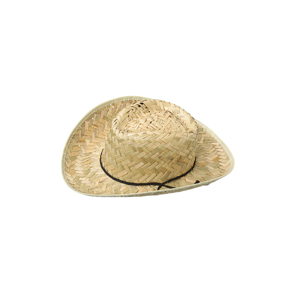Straw Cowboy Hat 2