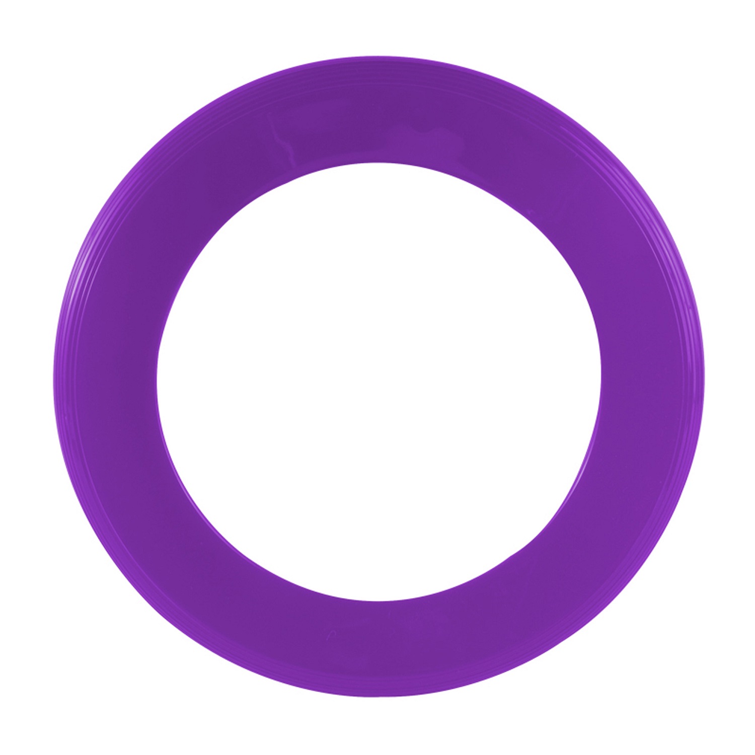 9.63 inch Hollow Ring Flying Disc 16