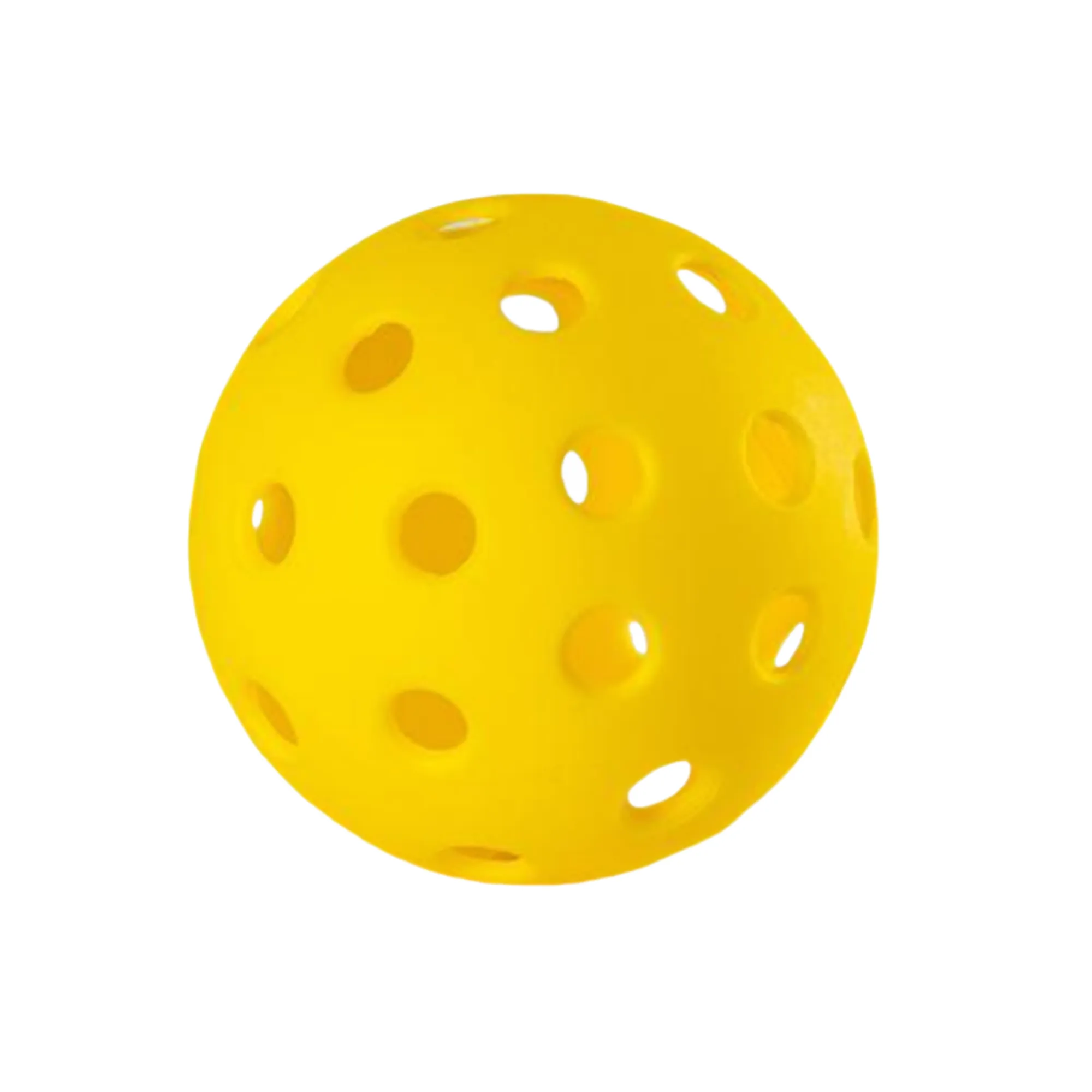 Pickleball With Forty Holes 3