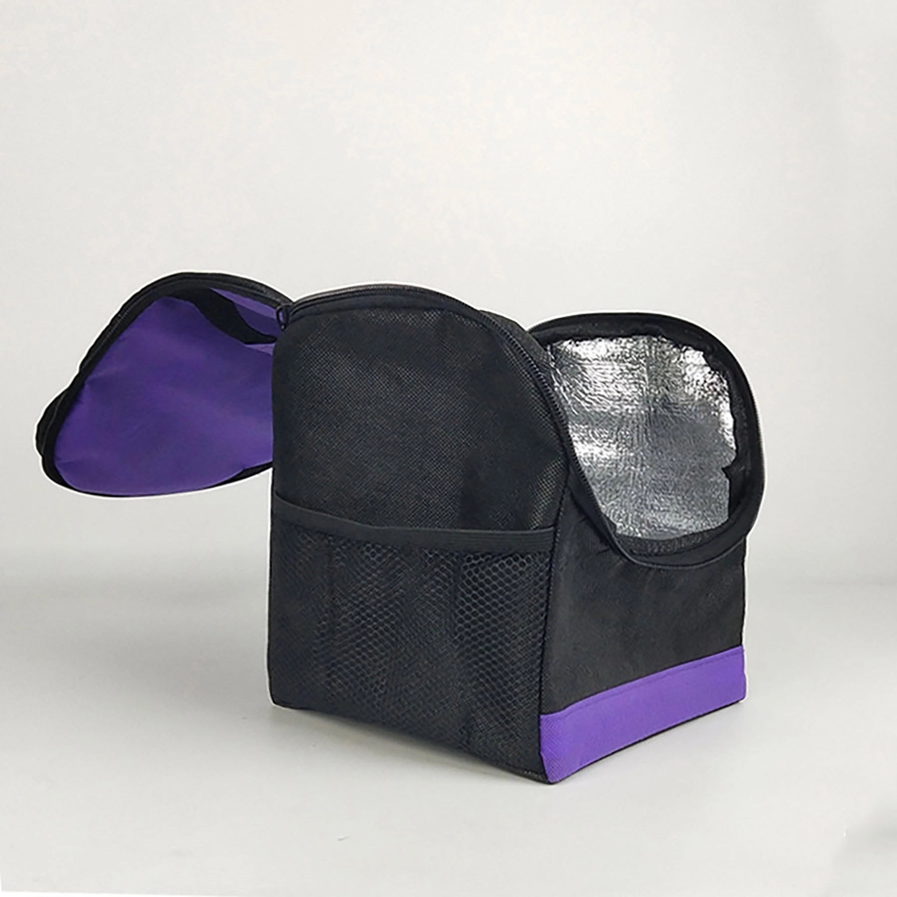 Lunch Cooler Bag 1