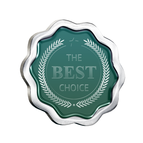 Hard Enamel Solid Zinc Alloy Lapel Pin 7
