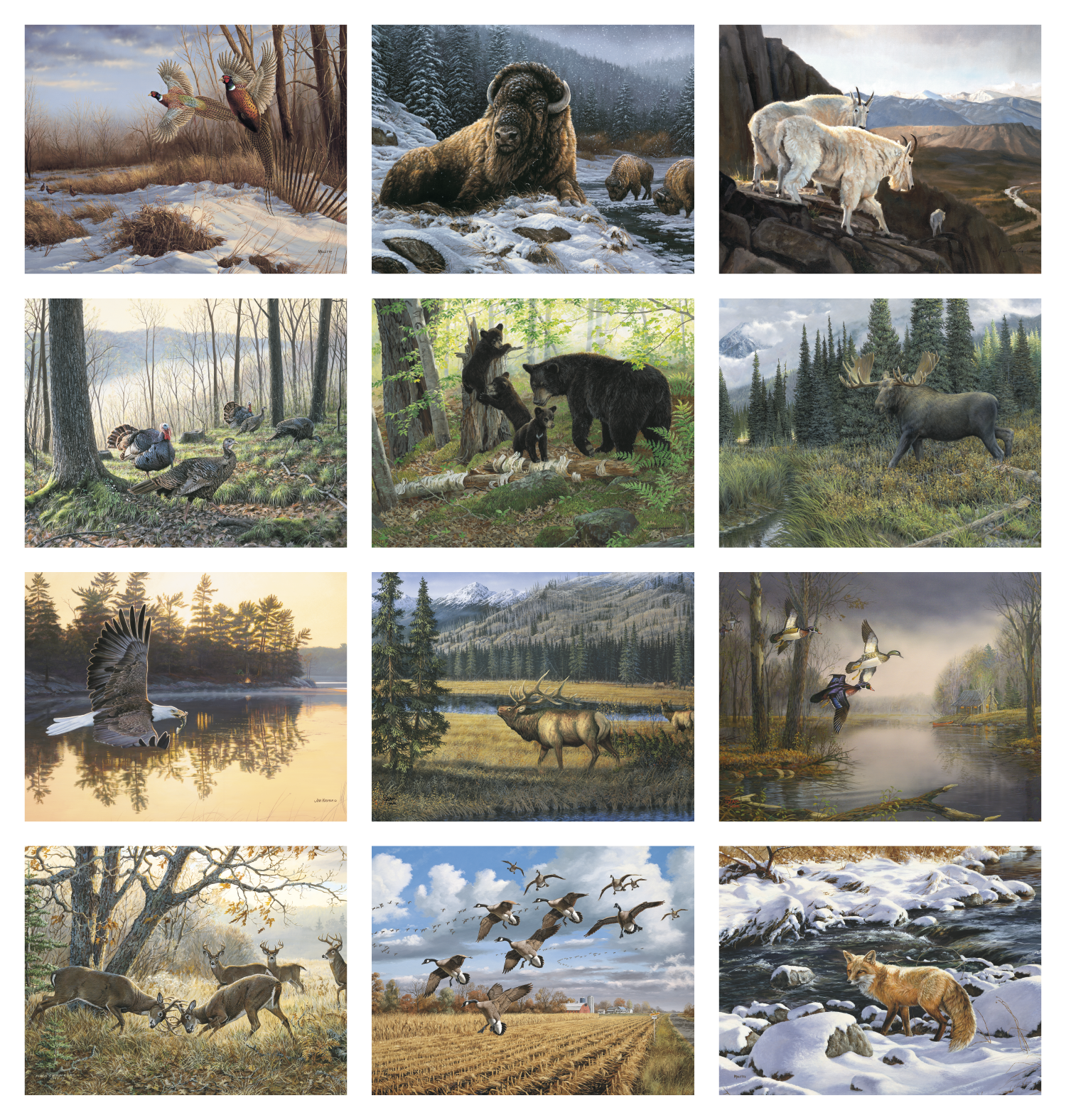 Triumph® Calendars Wildlife Art Calendar 20