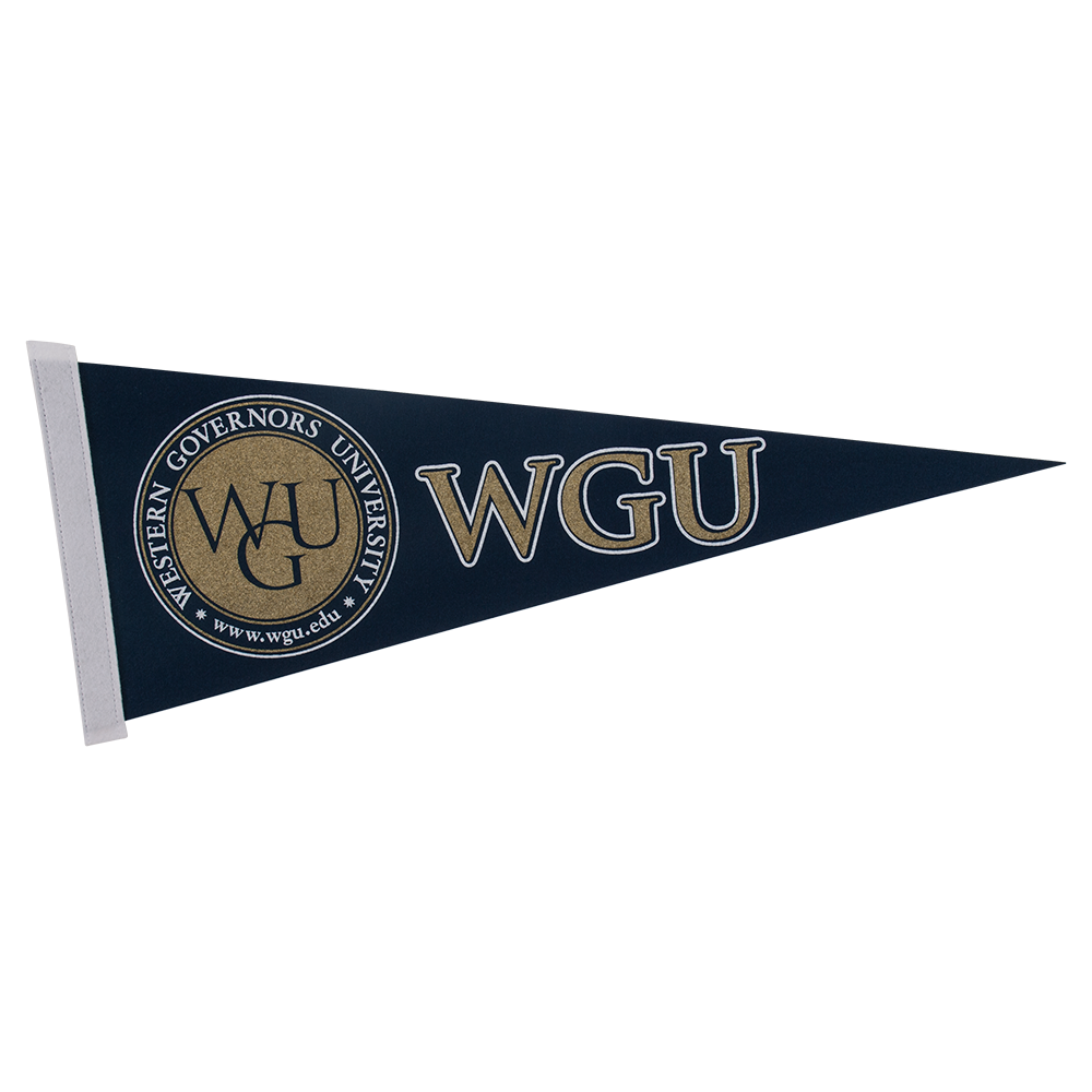 9" x 24" Colored Felt Pennant 5