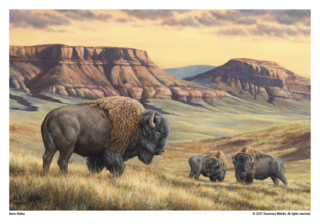 Triumph® Calendars Wildlife Art Calendar 46