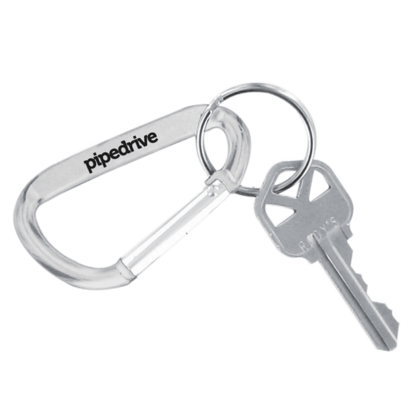 Carabiner Keychain 18