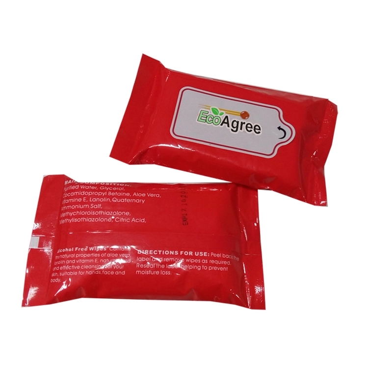 Sanitizing Wipes 1