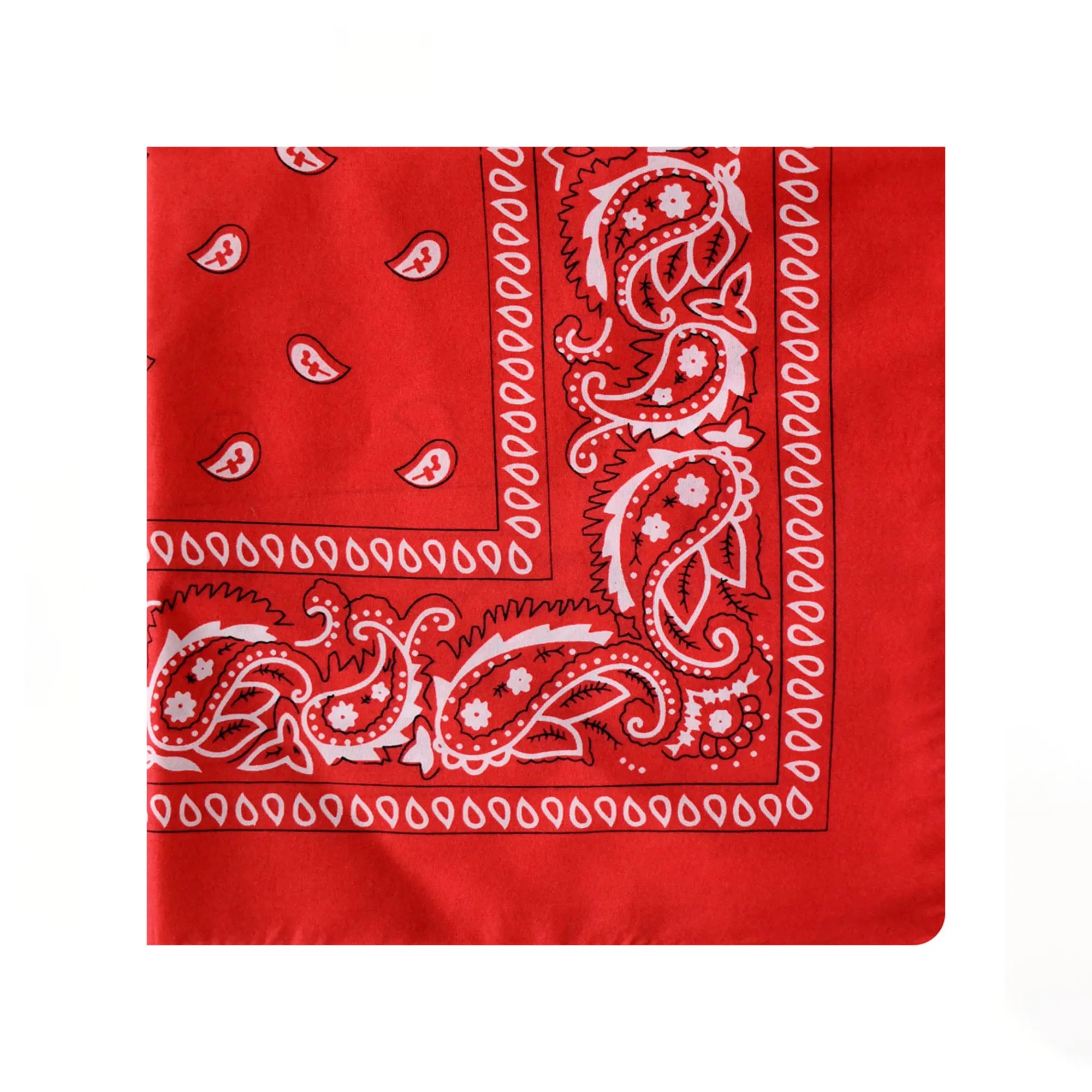 Multi Purpose Paisley Bandana 9