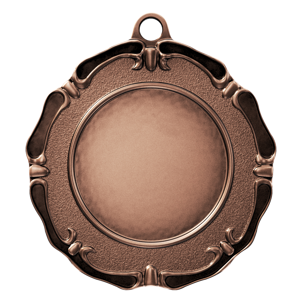 Limited Edition Medal - Insert 4