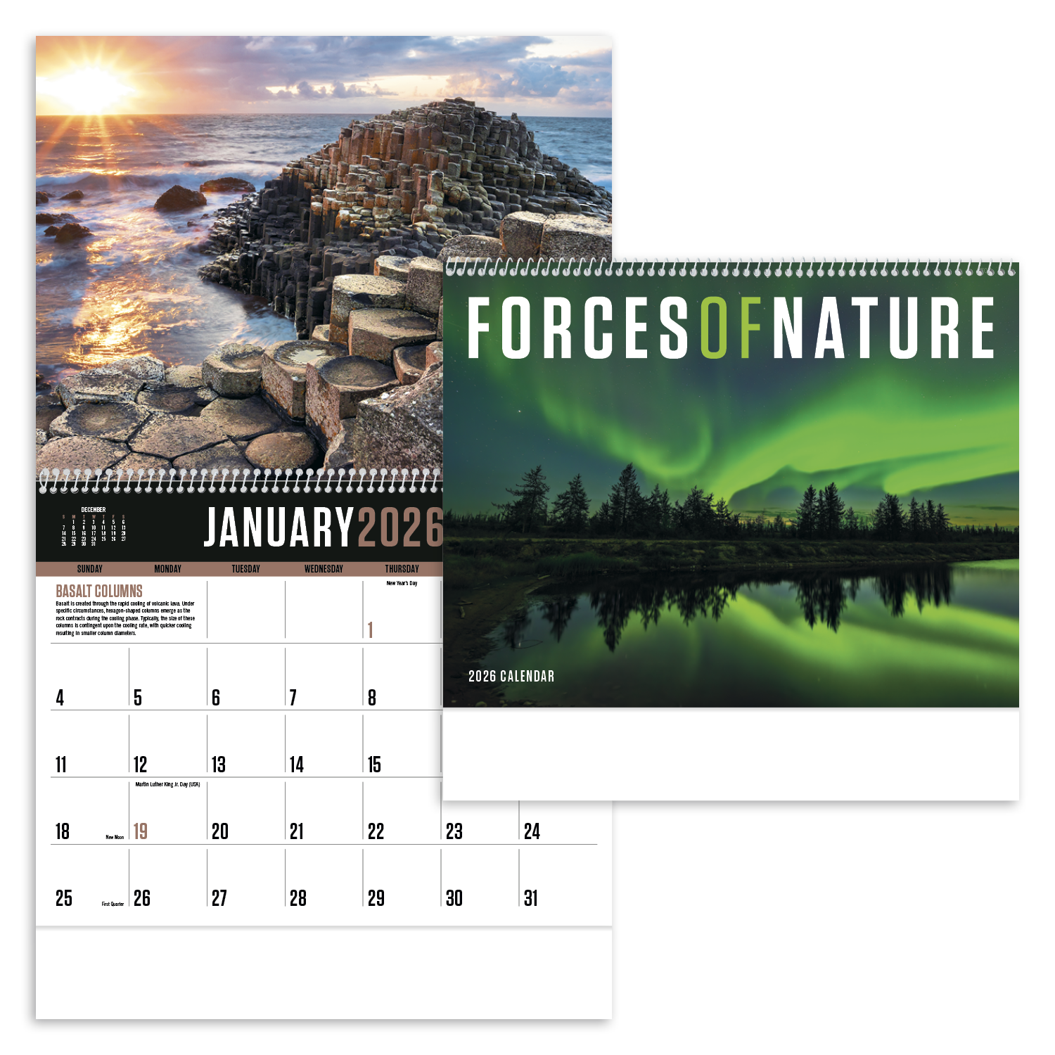 Triumph® Calendars Forces of Nature Calendar 12