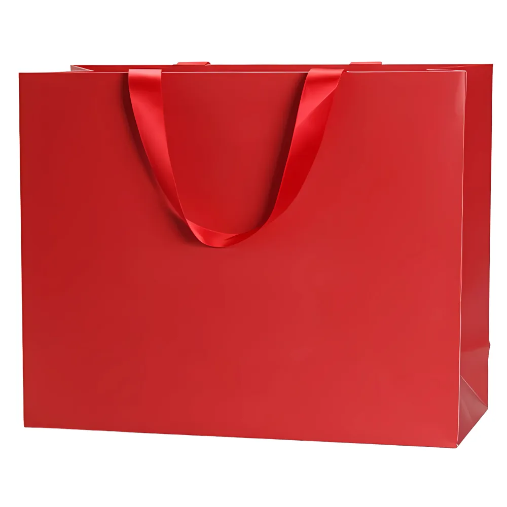 Spot UV Luxury Paper Bag 2