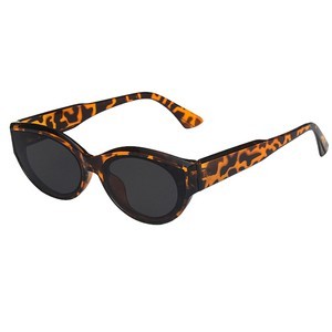 Classic Sunglasses 17