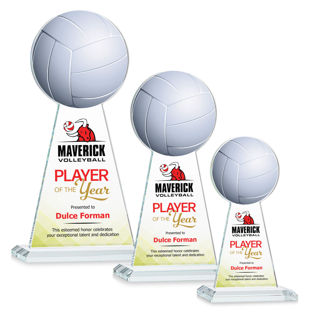 Edenwood Volleyball VividPrint™ Award - Clear 4