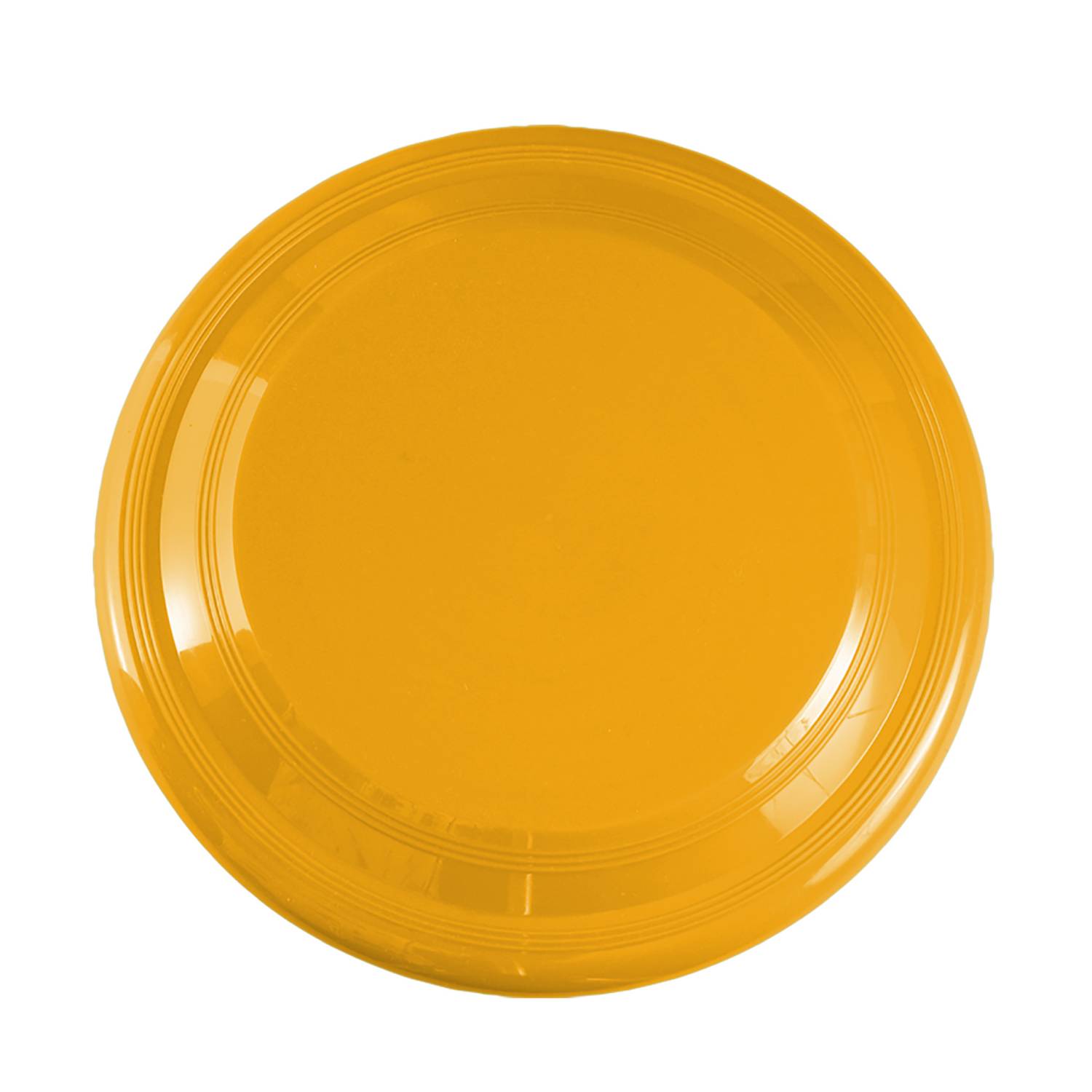 9 inch Flying Disc 2