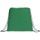 Evergreen Non-Woven Drawstring Bag 27