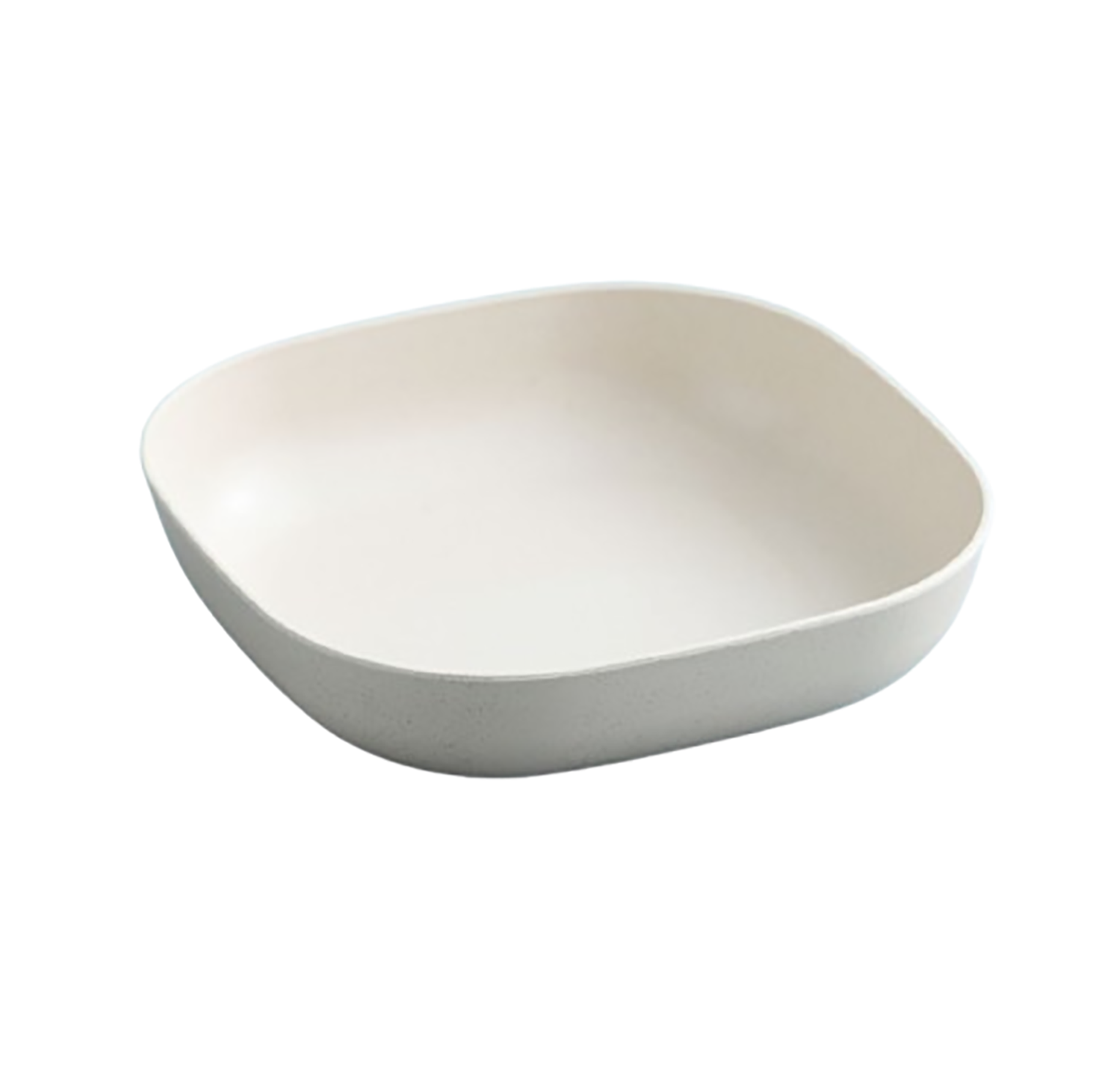 Plastic Dinner Plate 2