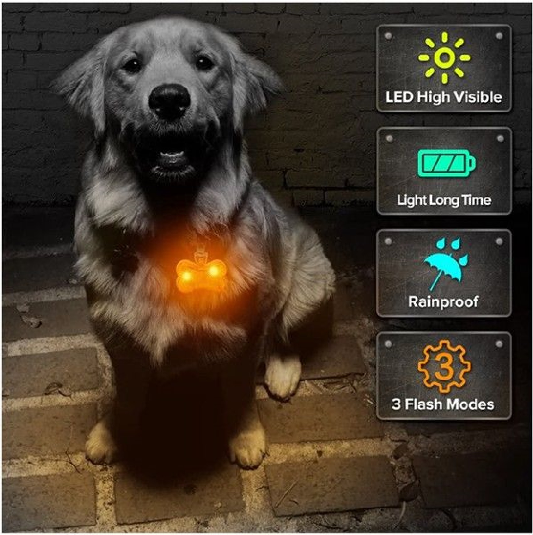 LED Bone-Shaped Pet Collar Pendent 2