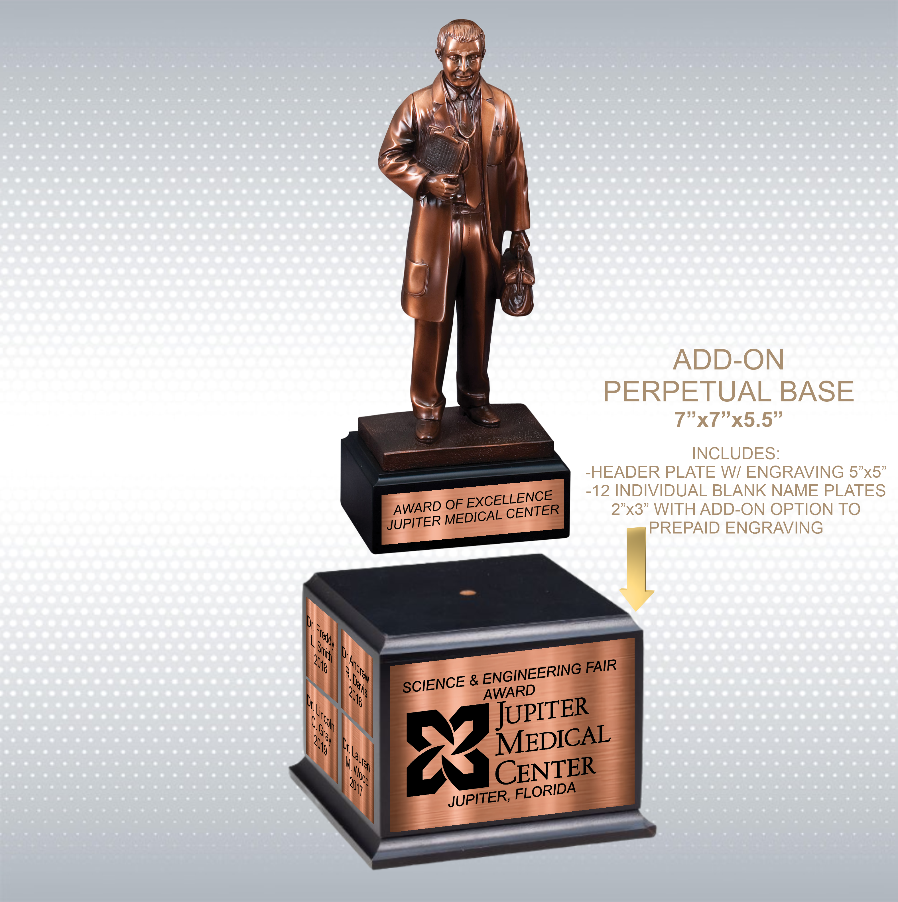 11 1/2" Premium Gallery Sculpture Bronze American Hero M.D. Doctor Physician Trophy Award 12